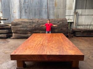 Sơn Sập Gỗ - Doanh Nhân Nguyễn Ngọc Sơn Và Hành Trình Khởi Nghiệp Thành Công