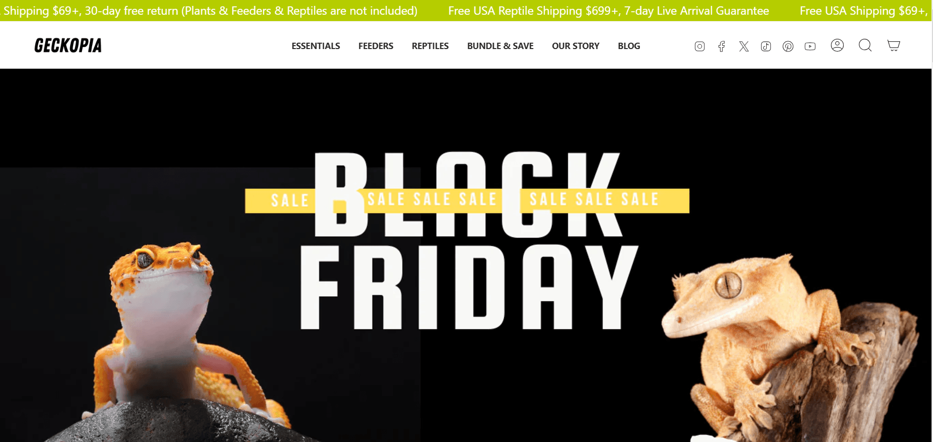 Review of Geckopia: A Unique Hub for Nature Enthusiasts